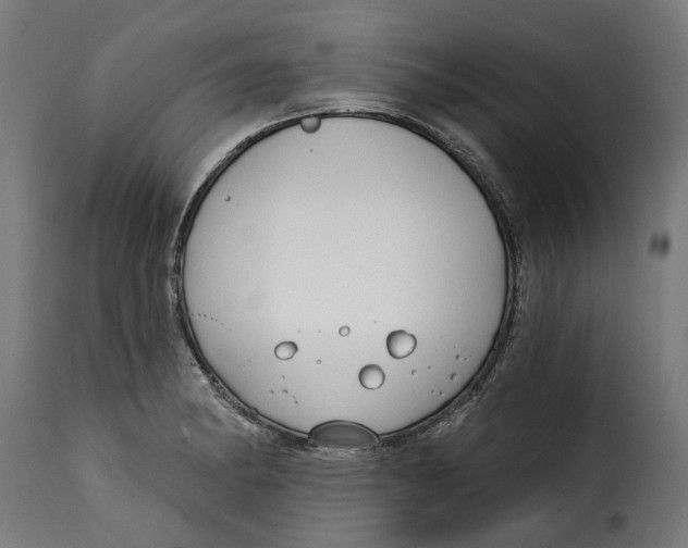 X0000115251182200911201636