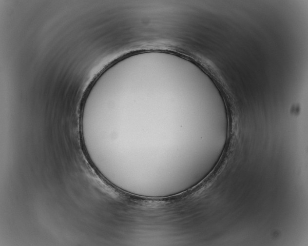 X0000115251184200911201636