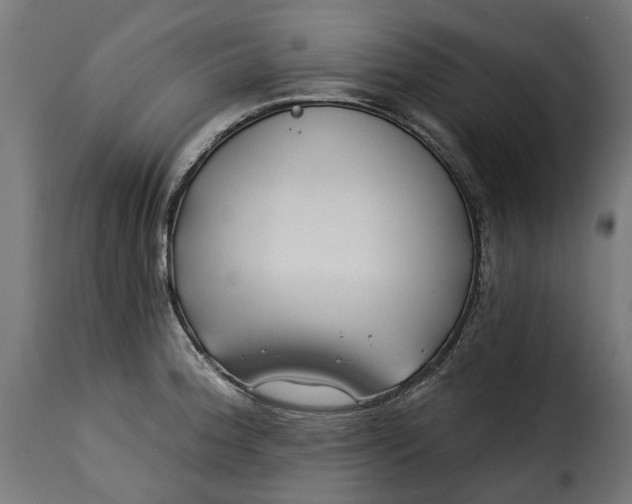 X0000115251188200911201636