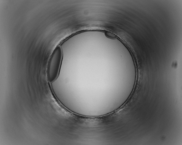 X0000115251189200911201636