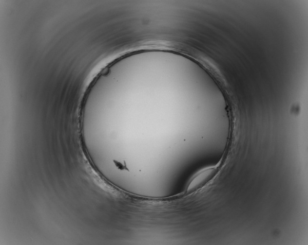 X0000115251192200911201636