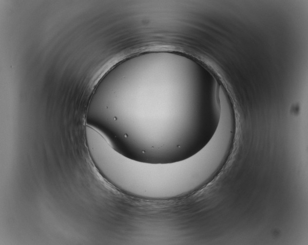 X0000115251193200911201636