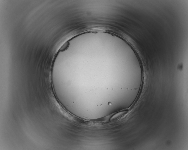 X0000115251194200911201636