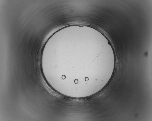 X0000115251195200911201636