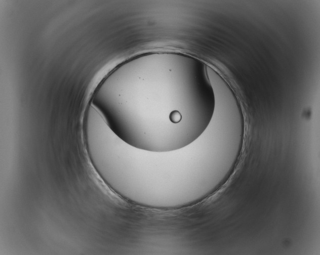 X0000115251196200911201636