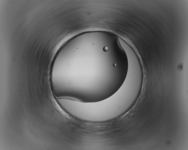 X0000115251197200911201636