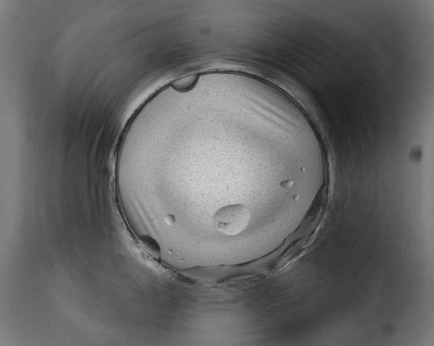 X0000115251198200911201636