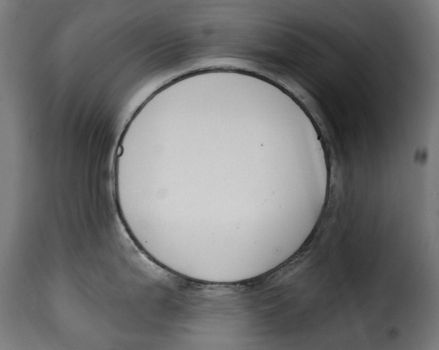 X0000115251199200911201635