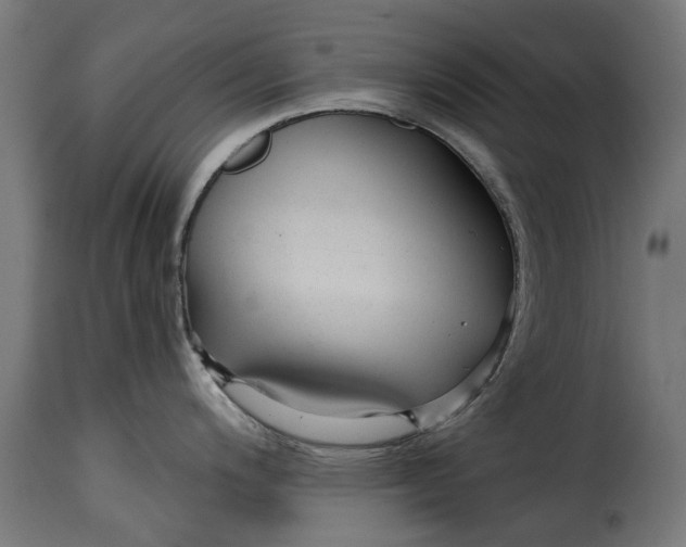 X0000115251200200911201635