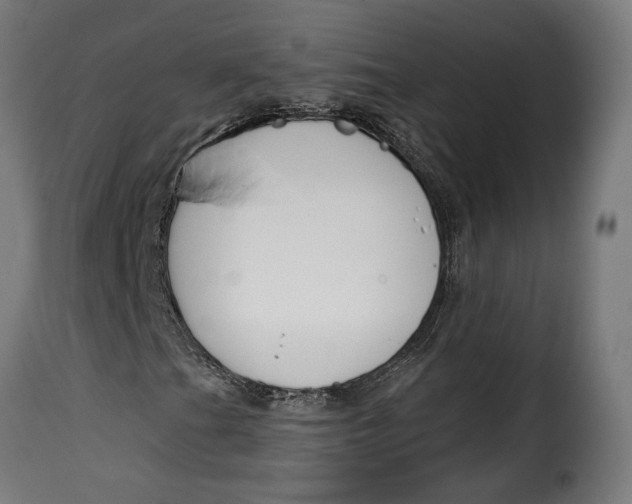 X0000115251201200911201635