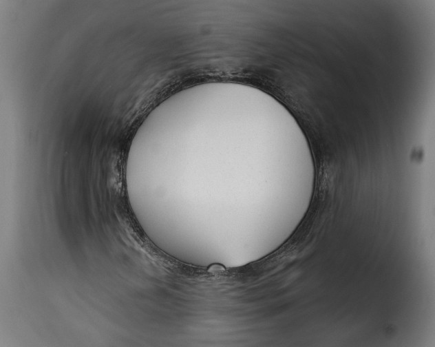 X0000115251202200911201635