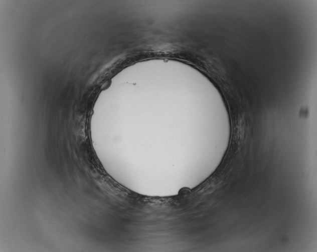 X0000115251205200911201635