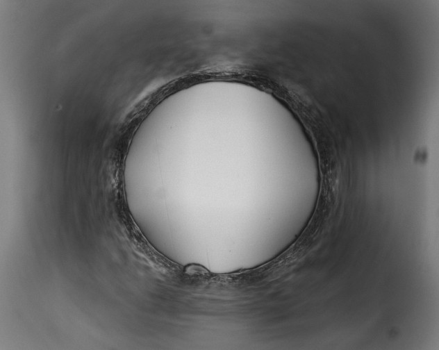 X0000115251206200911201635