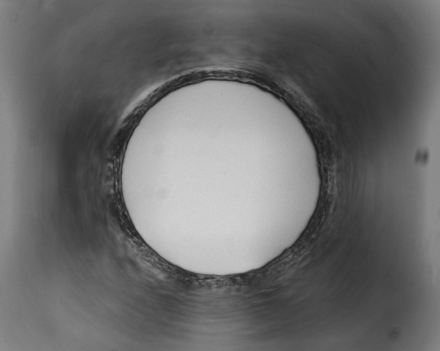 X0000115251208200911201635