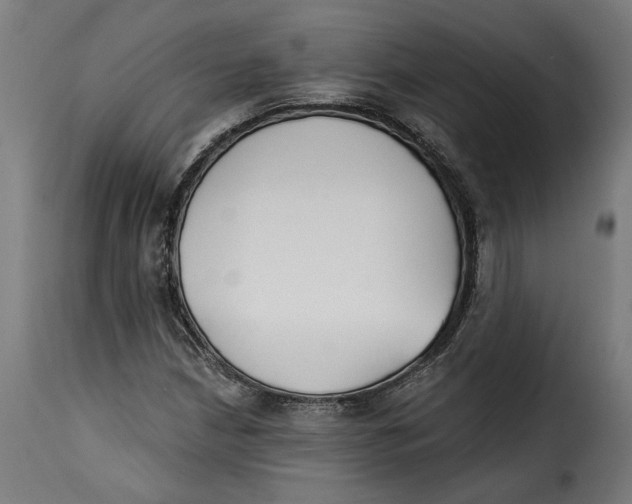 X0000115251210200911201635