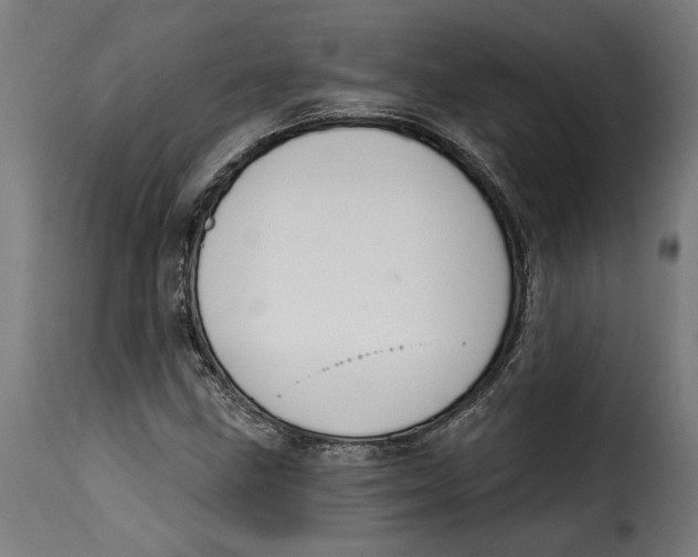 X0000115251211200911201635