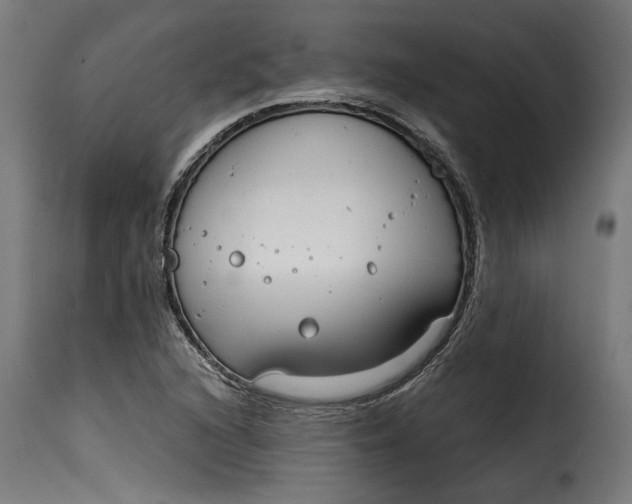 X0000115251216200911201635