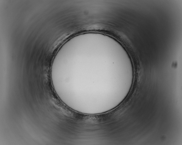 X0000115251217200911201635