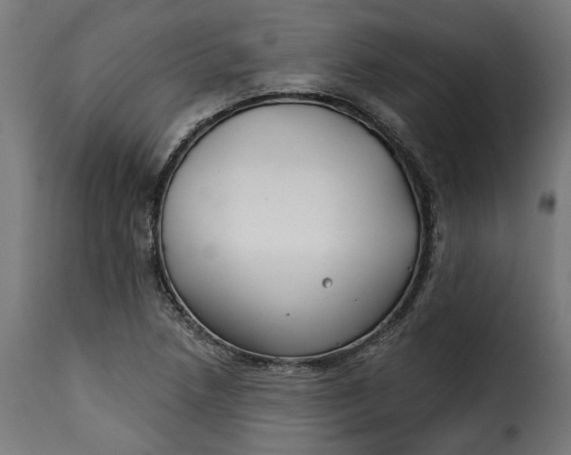 X0000115251218200911201635