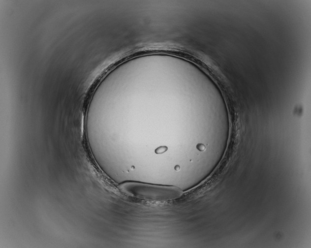 X0000115251221200911201635