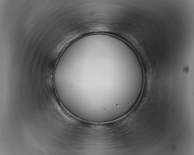 X0000115251225200911201635