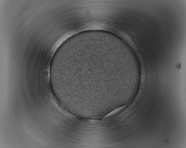 X0000115251226200911201635