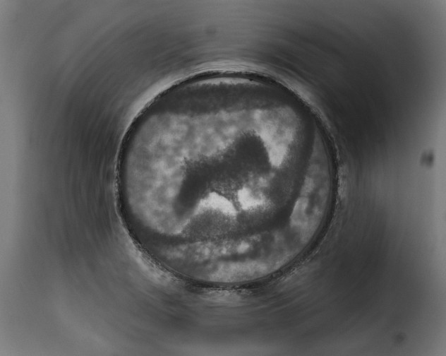 X0000115251229200911201635