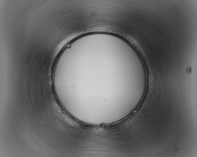 X0000115251230200911201635