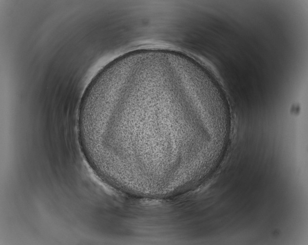 X0000115251231200911201635