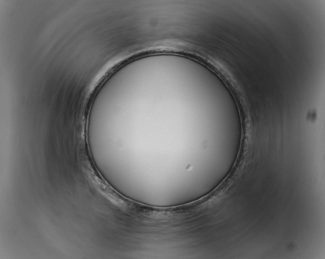 X0000115251232200911201635