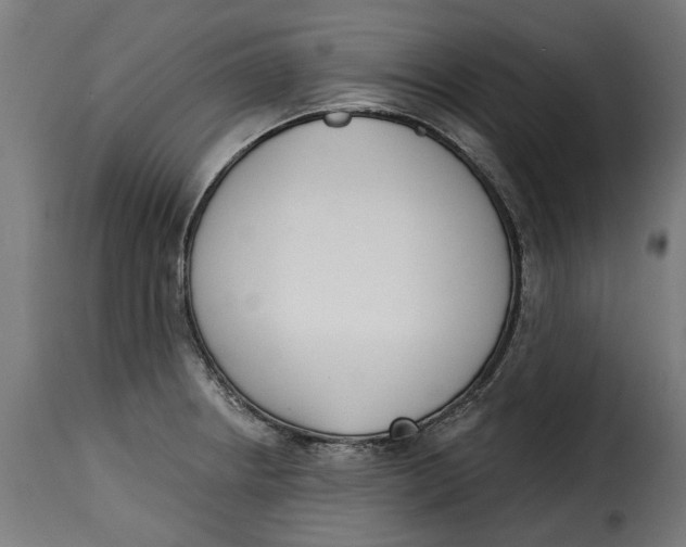 X0000115251234200911201635