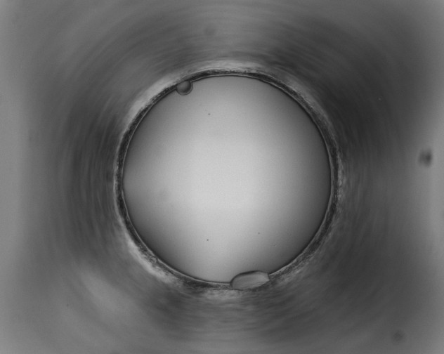 X0000115251237200911201635