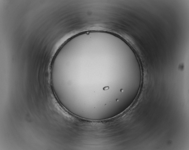 X0000115251238200911201635