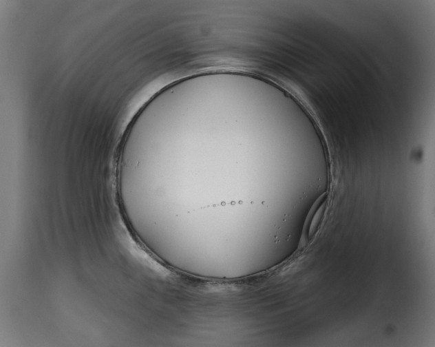 X0000115251243200911201635