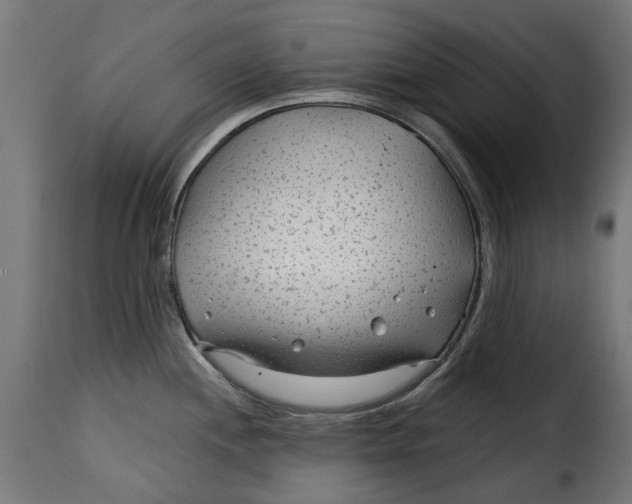 X0000115251244200911201635