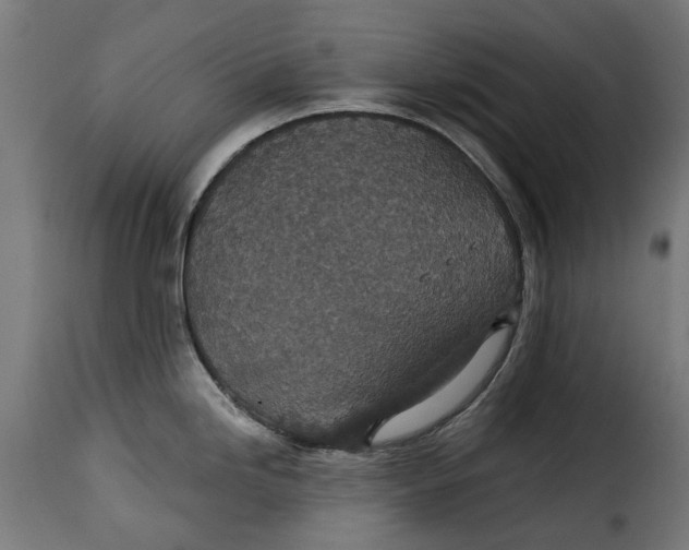 X0000115251246200911201635