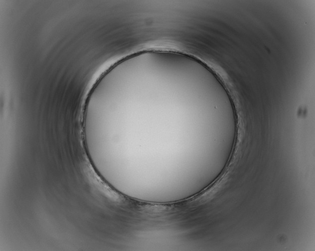 X0000115251248200911201635