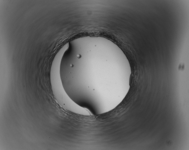 X0000115251249200911201635