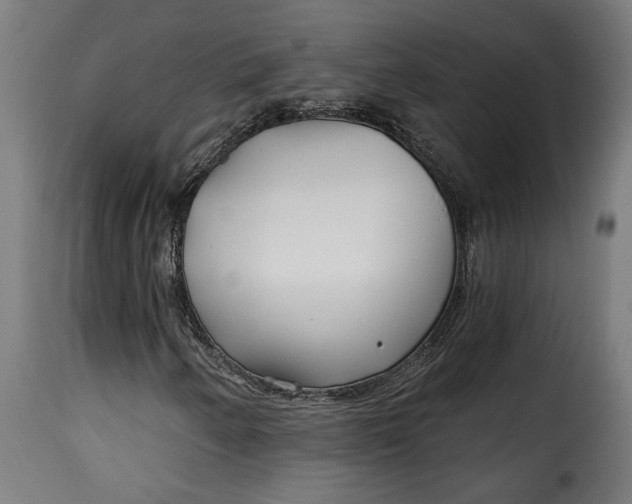 X0000115251250200911201635