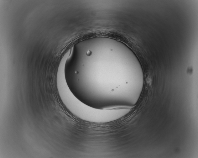 X0000115251252200911201635