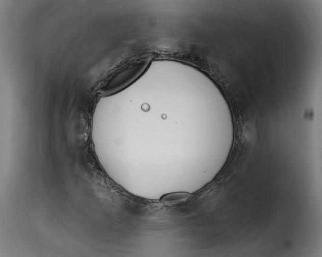 X0000115251253200911201635