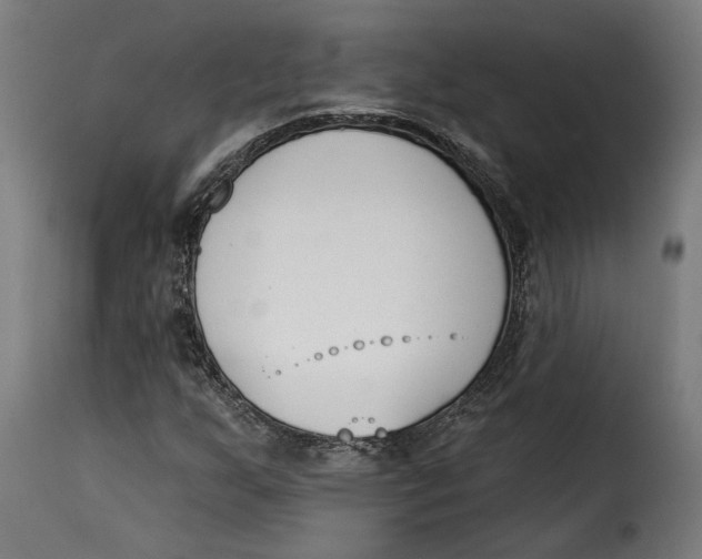 X0000115251255200911201635