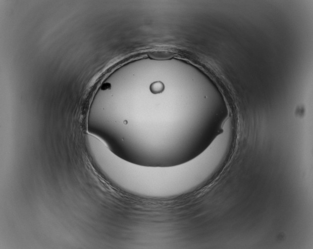 X0000115251260200911201635