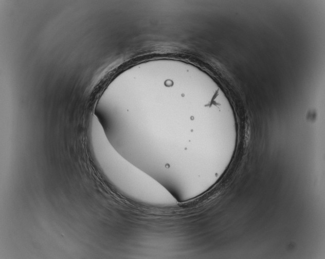 X0000115251261200911201635