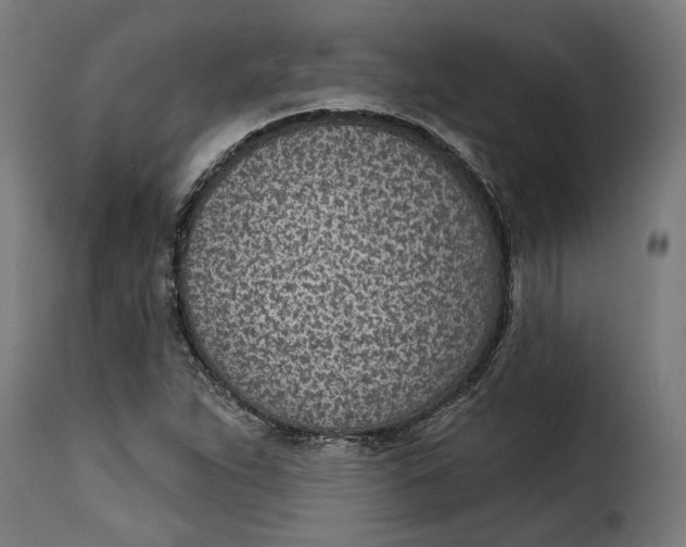 X0000115251263200911201635