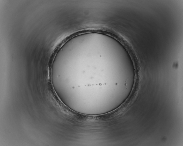 X0000115251267200911201635