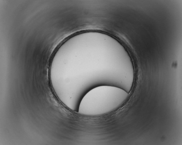 X0000115251268200911201635