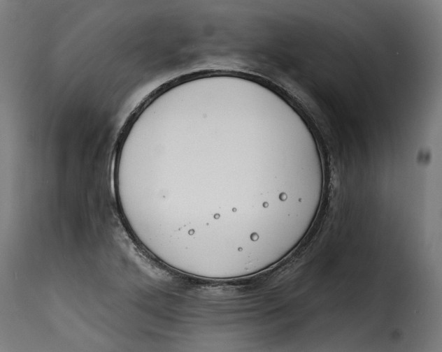 X0000115251272200911201634