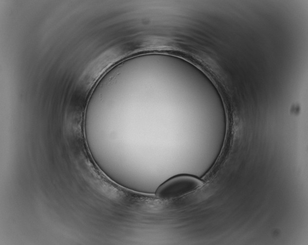 X0000115251273200911201634