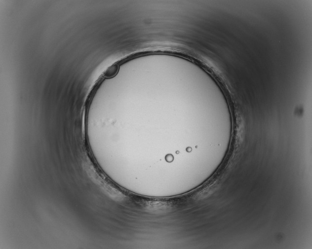 X0000115251275200911201634